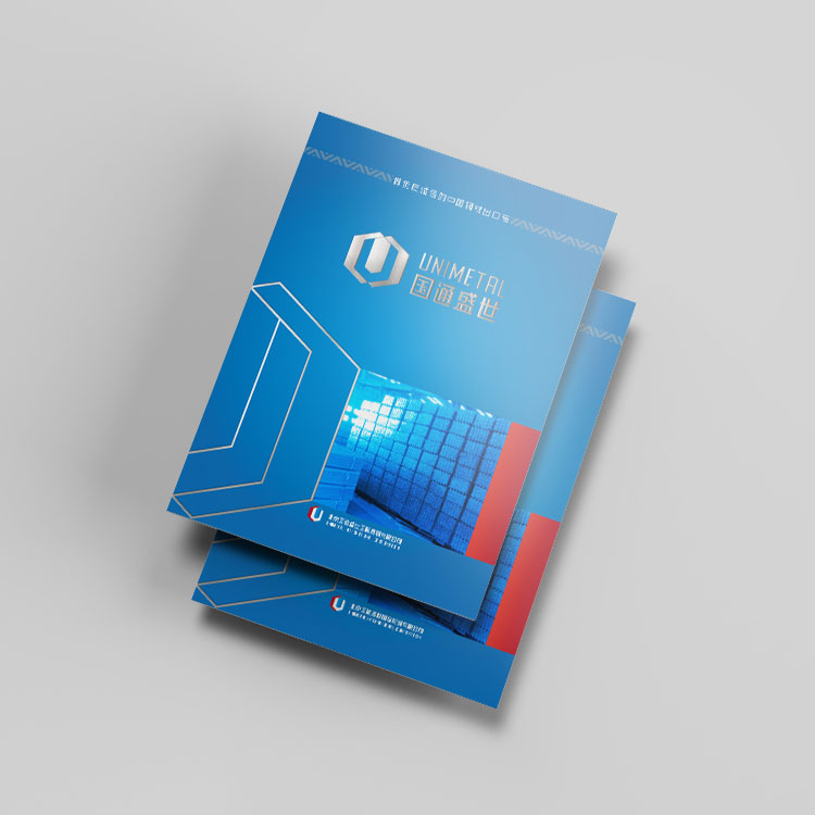 國通盛世品牌畫冊(cè)